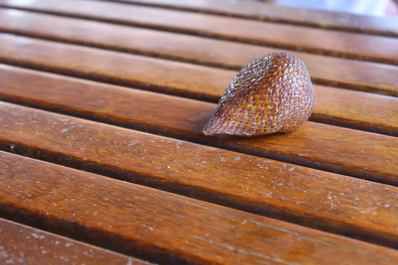 9 støjsvage 60 cm emhætter til åbne køkkener