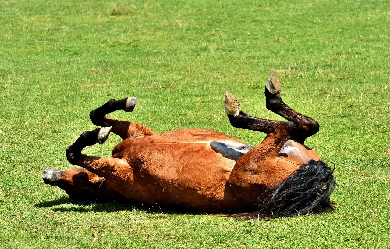 Hvor længe kan yoghurt holde sig udenfor køleskab? - Sandheden om holdbarhed, risiko og smarte opbevaringstips